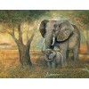2021 Elephant Diy Diamond Painting Kits UK