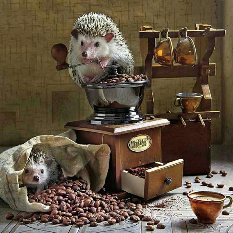 2021 Hedgehog 5D Diy...