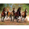 2021 Horse Full Drill Diy Diamond Painting Kits UK
