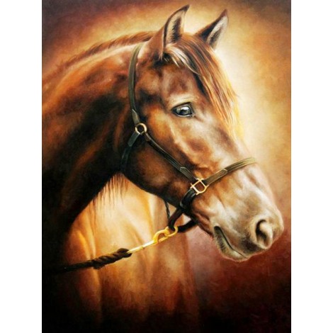 2021 Horse Diamond Painting Kits UK
