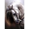 2021 Horse Full Drill Diy Diamond Painting Kits UK
