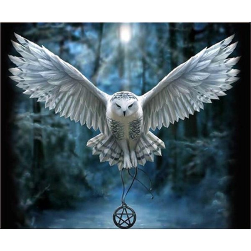 2021 Owl Full Drill ...