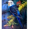 2021 Bird Full Drill Diy Diamond Painting Kits UK