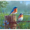 2021 Bird Full Drill Diy Diamond Painting Kits UK