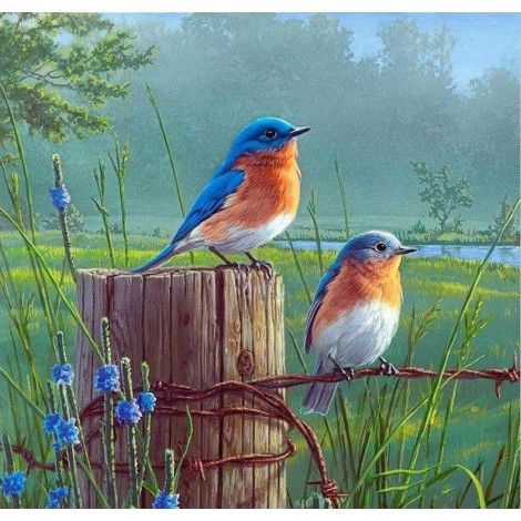 2021 Bird Full Drill Diy Diamond Painting Kits UK