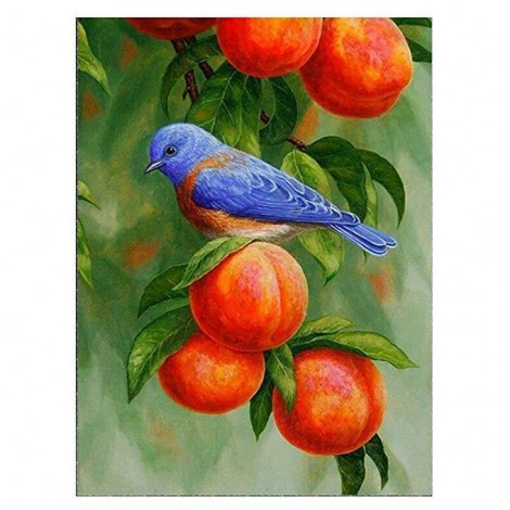 2021 Bird Full Drill Diy Diamond Painting Kits UK
