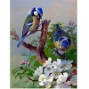 2021 Bird Full Drill Diy Diamond Painting Kits UK