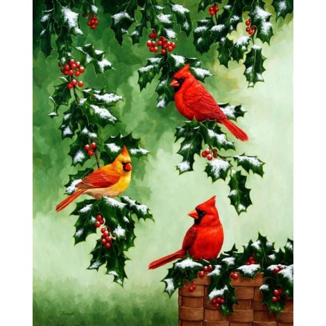 2021 Bird Full Drill Diy Diamond Painting Kits UK