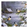 2021 Bird 5d Diy Diamond Painting Kits