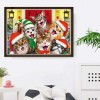 2021 Cat Diy Diamond Painting Kits UK