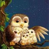 2021 Owl Full Drill Diy Diamond Painting Kits 