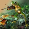 2021 Frog Full Drill Diy Diamond Painting Kits