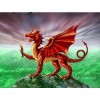 2021 Dragon Full Drill Diy Diamond Painting Kits UK