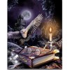 2021 Owl Full Drill Diy Diamond Painting Kits