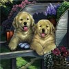 2021 Dog Diy Diamond Painting Kits UK