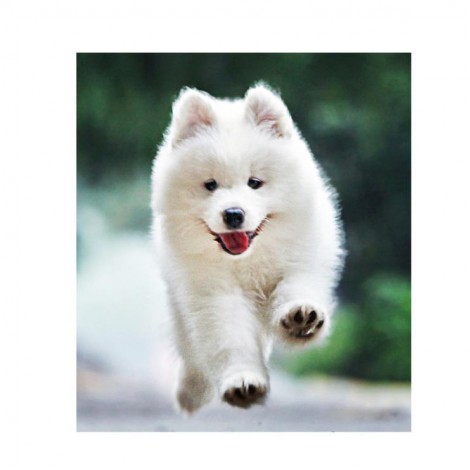 2021 Dog Diy Diamond Painting Kits UK 