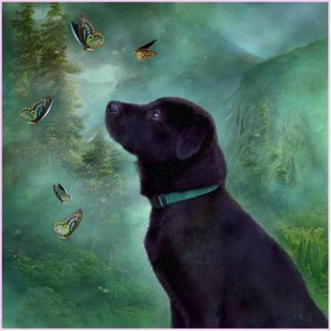 2021 Dog Diy Diamond Painting Kits UK