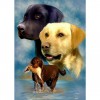 2021 Dog Diy Diamond Painting Kits UK