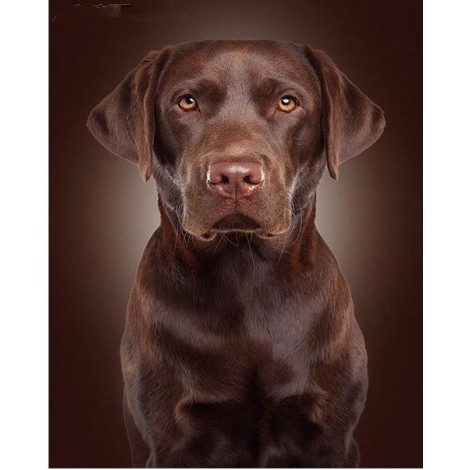 2021 Dog Diy Diamond Painting Kits UK