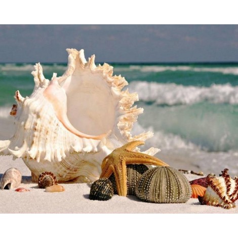 2021 Shell Starfish 5d Diy Diamond Painting Kits