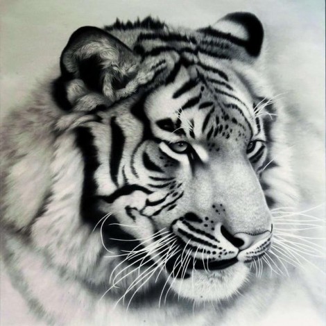 2021 Tiger Diy Diamond Painting Kits UK  